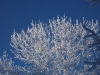 Winterlandschaft