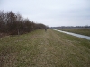 FLuss