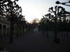 p1010990.jpg