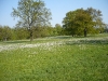 p1020119.jpg