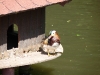 bischofswerda_zoo09