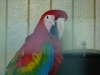 bischofswerda_zoo16