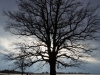 februar_06