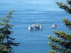lago_delio04