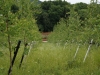 landesgartenschau_loebau16