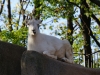 leipzig_zoo_03
