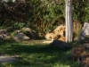 leipzig_zoo_12