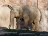 leipzig_zoo_21
