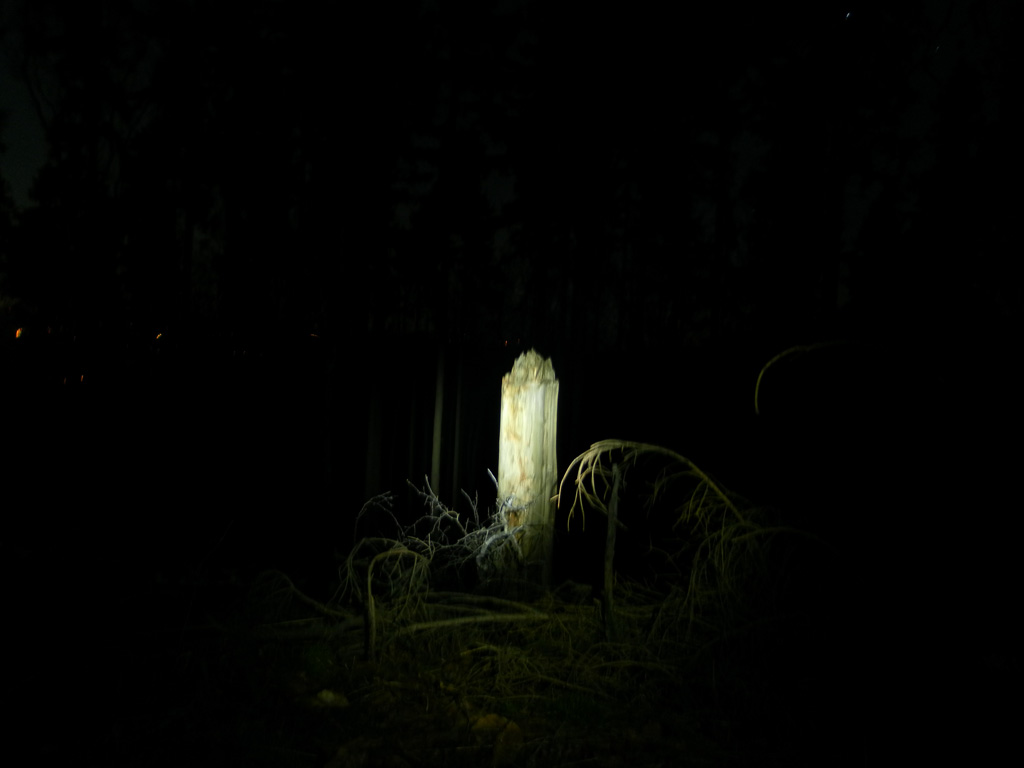 LED Lenser P5R Nachtbilder