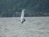 surfen12