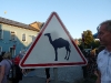 tag_der_sachsen_kamenz_18