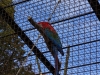 zoo_goerlitz_16