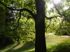 zoo_goerlitz_19